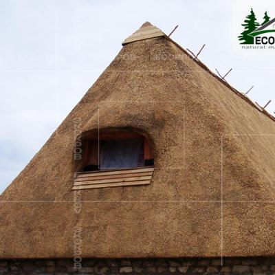 Kamysh Kulikovo Pole 2010