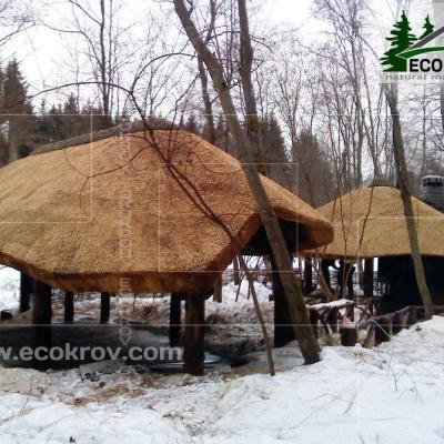 Камышовая кровля. Внуково. 2011 год