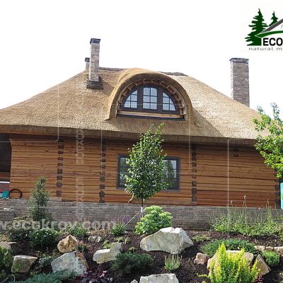 Кровля бани из камыша. 2014 год
