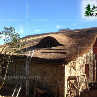 Кровля из камыша. 2014 год