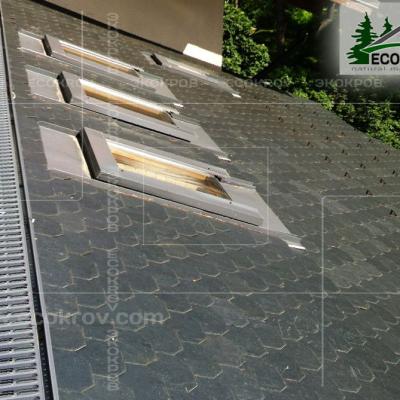 Slanec Barviha 2007 10