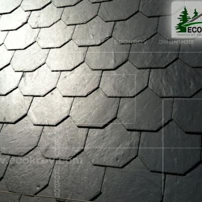 Slanec Barviha 2007 11