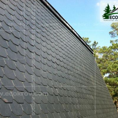 Slanec Barviha 2007 12