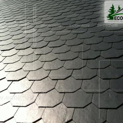 Slanec Barviha 2007 13