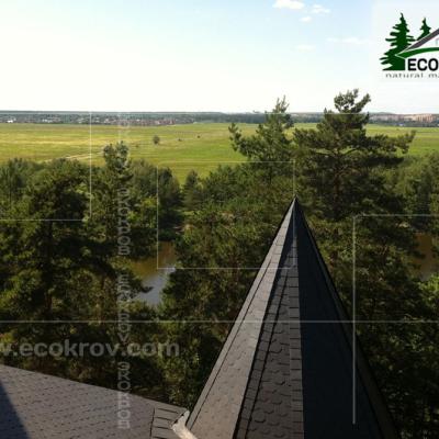 Slanec Barviha 2007 14