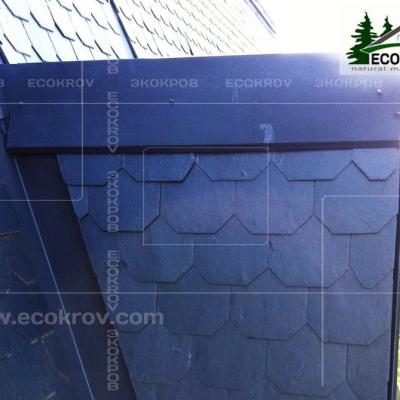 Slanec Barviha 2007 15