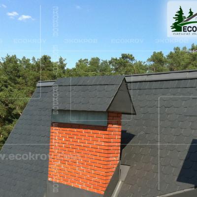 Slanec Barviha 2007 16