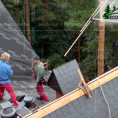 Slanec Barviha 2007 17