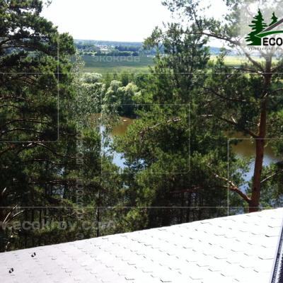 Slanec Barviha 2007 18