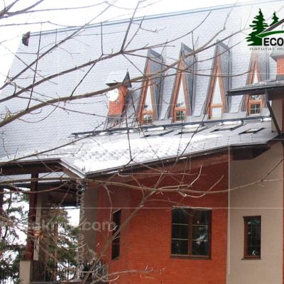 Slanec Barviha 2007 1