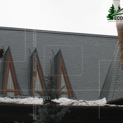 Slanec Barviha 2007 2