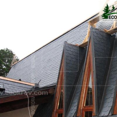 Slanec Barviha 2007 6