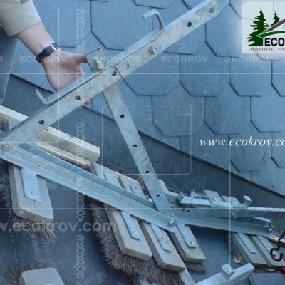 Slanec Barviha 2007 7