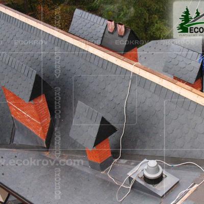 Slanec Barviha 2007 8