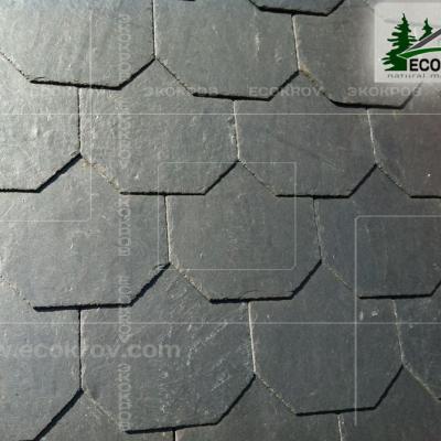 Slanec Barviha 2007 9