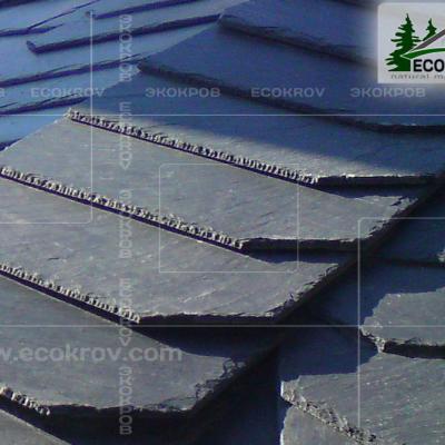 Slanec Rassudovo2009 10