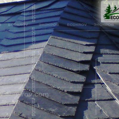 Slanec Rassudovo2009 11