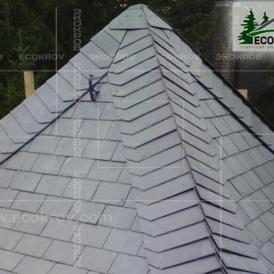 Slanec Rassudovo2009 12