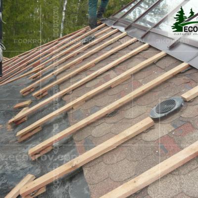 Slanec Rassudovo2009 13