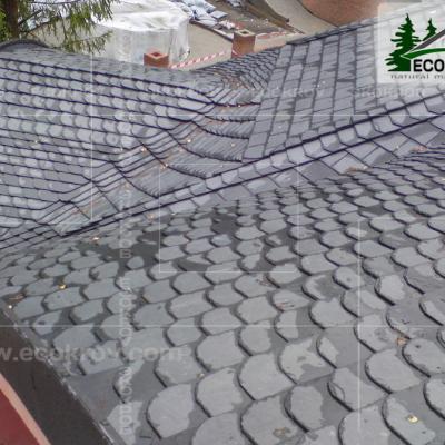 Slanec Rassudovo2009 2