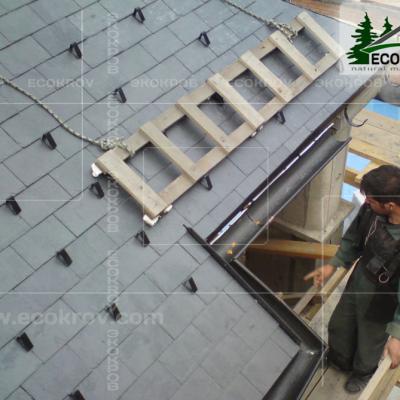 Slanec Rassudovo2009 3