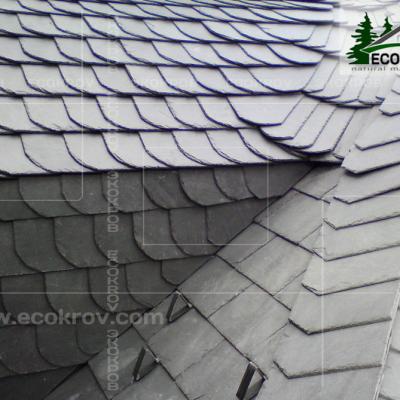 Slanec Rassudovo2009 4