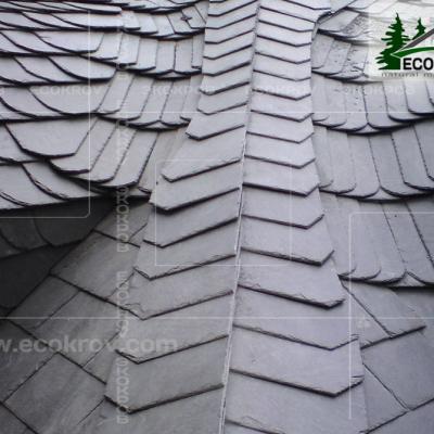 Slanec Rassudovo2009 5