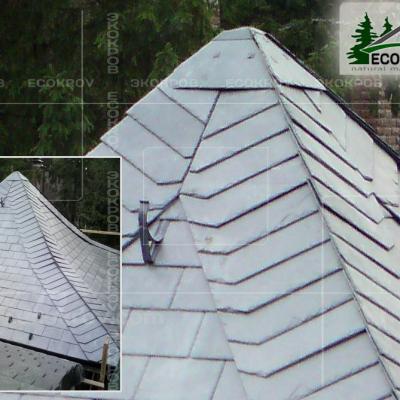 Slanec Rassudovo2009 6