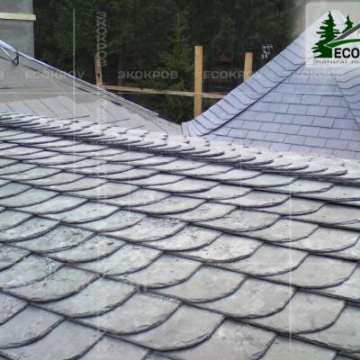 Slanec Rassudovo2009 7