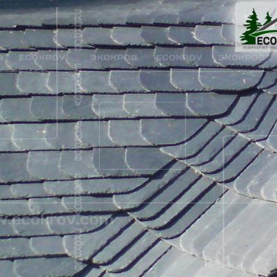 Slanec Rassudovo2009 8