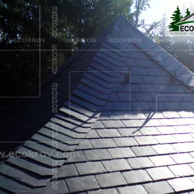 Slanec Rassudovo2009 9