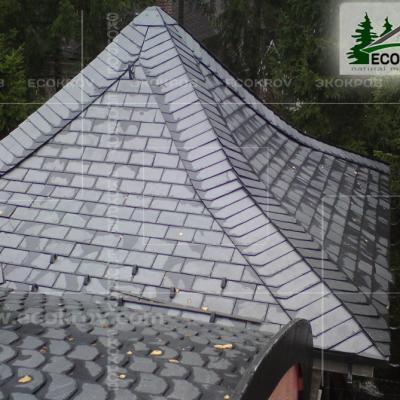 Рассудово. 2009 год