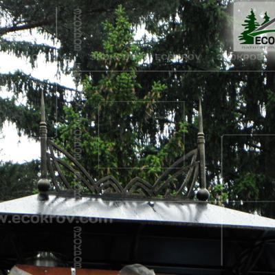 Slanec Rassudovo 2010 10