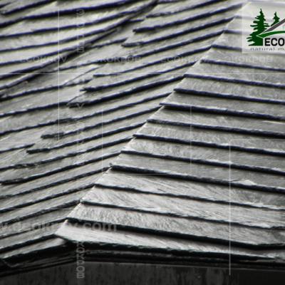 Slanec Rassudovo 2010 13