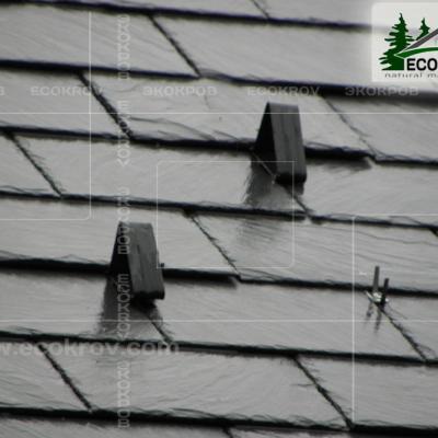 Slanec Rassudovo 2010 14