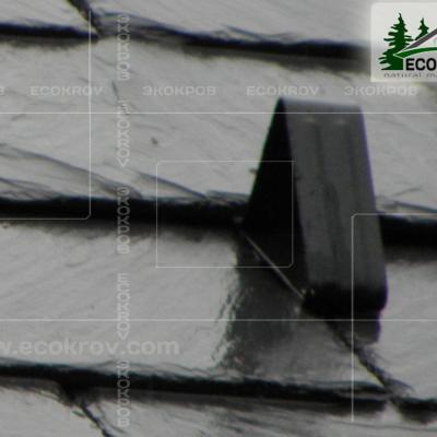 Slanec Rassudovo 2010 15