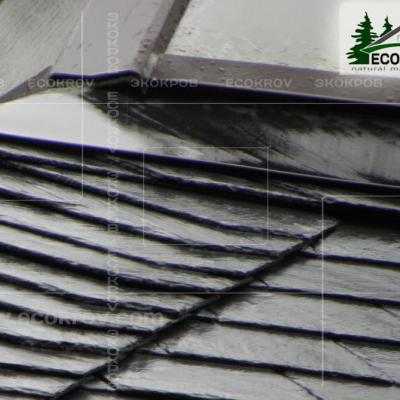 Slanec Rassudovo 2010 16