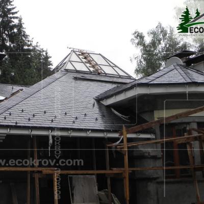 Slanec Rassudovo 2010 17