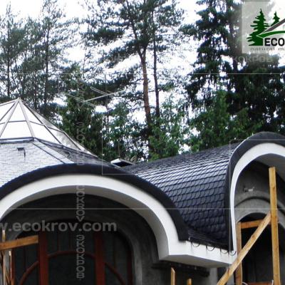 Slanec Rassudovo 2010 18