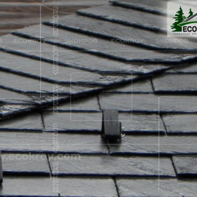 Slanec Rassudovo 2010 19