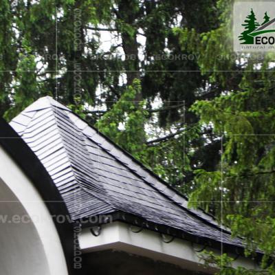 Slanec Rassudovo 2010 1