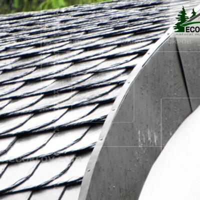 Slanec Rassudovo 2010 22