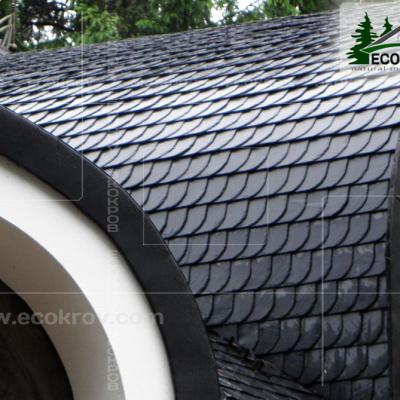 Slanec Rassudovo 2010 23