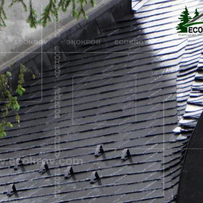 Slanec Rassudovo 2010 24