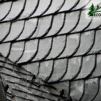 Slanec Rassudovo 2010 2