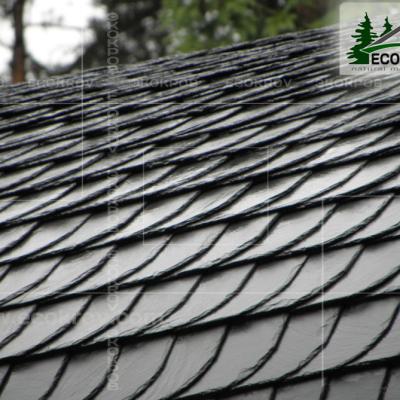 Slanec Rassudovo 2010 3