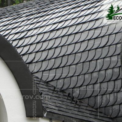 Slanec Rassudovo 2010 4