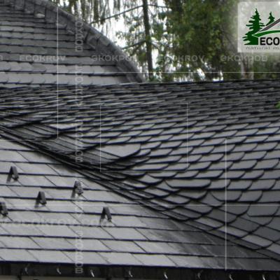 Slanec Rassudovo 2010 5