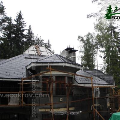 Slanec Rassudovo 2010 6