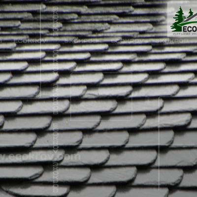 Slanec Rassudovo 2010 8